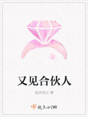 又见合伙人
