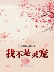 我不是灵宠